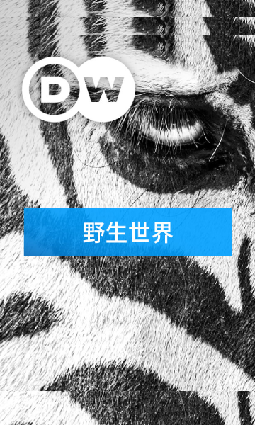 走向野外