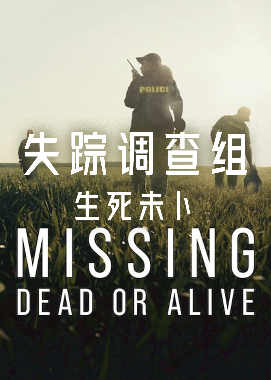 失踪调查组：生死未卜 第一季