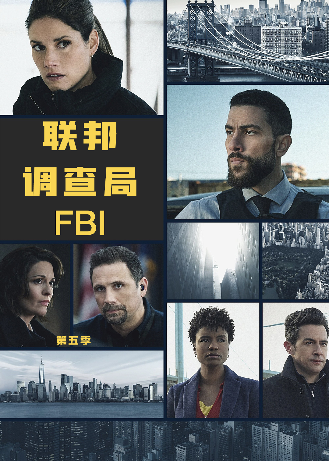 联邦调查局 第五季