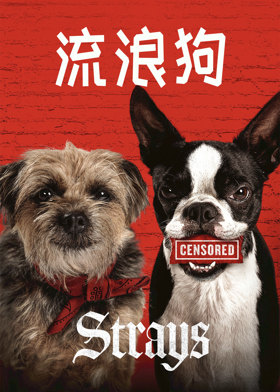 复仇狗联盟
