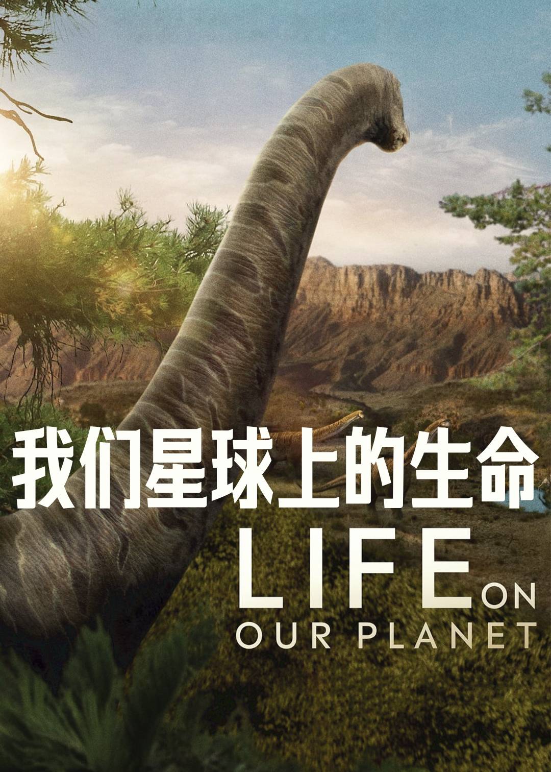 我们星球上的生命