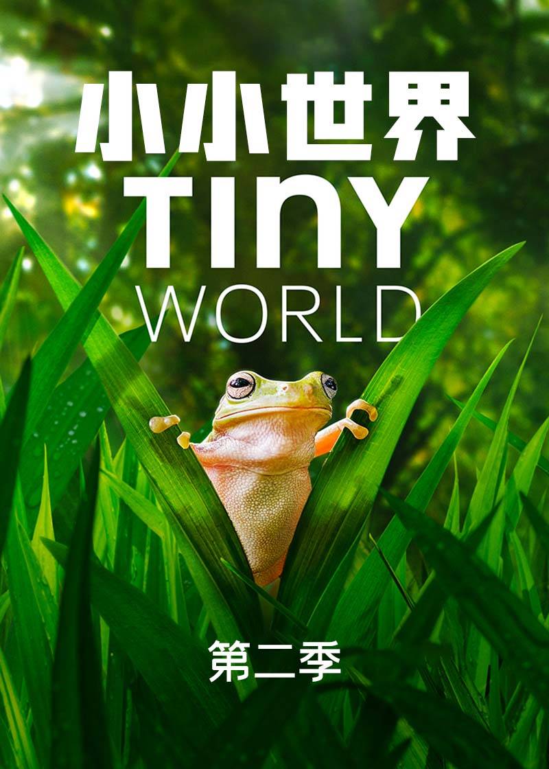 小小世界 第二季