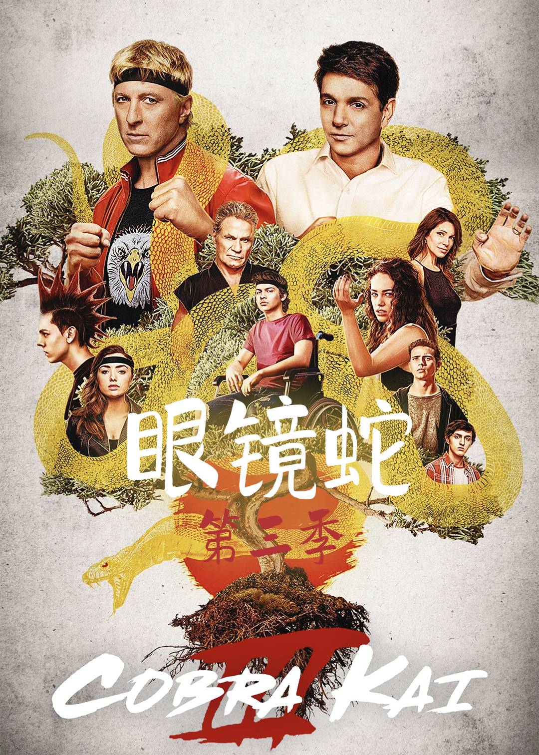 眼镜蛇 第三季