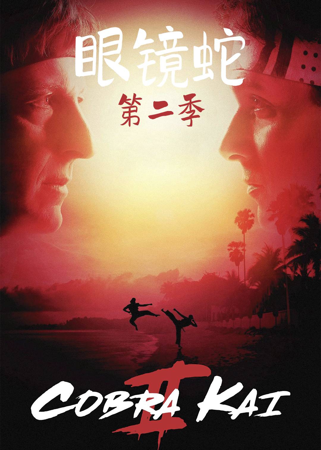 眼镜蛇 第二季
