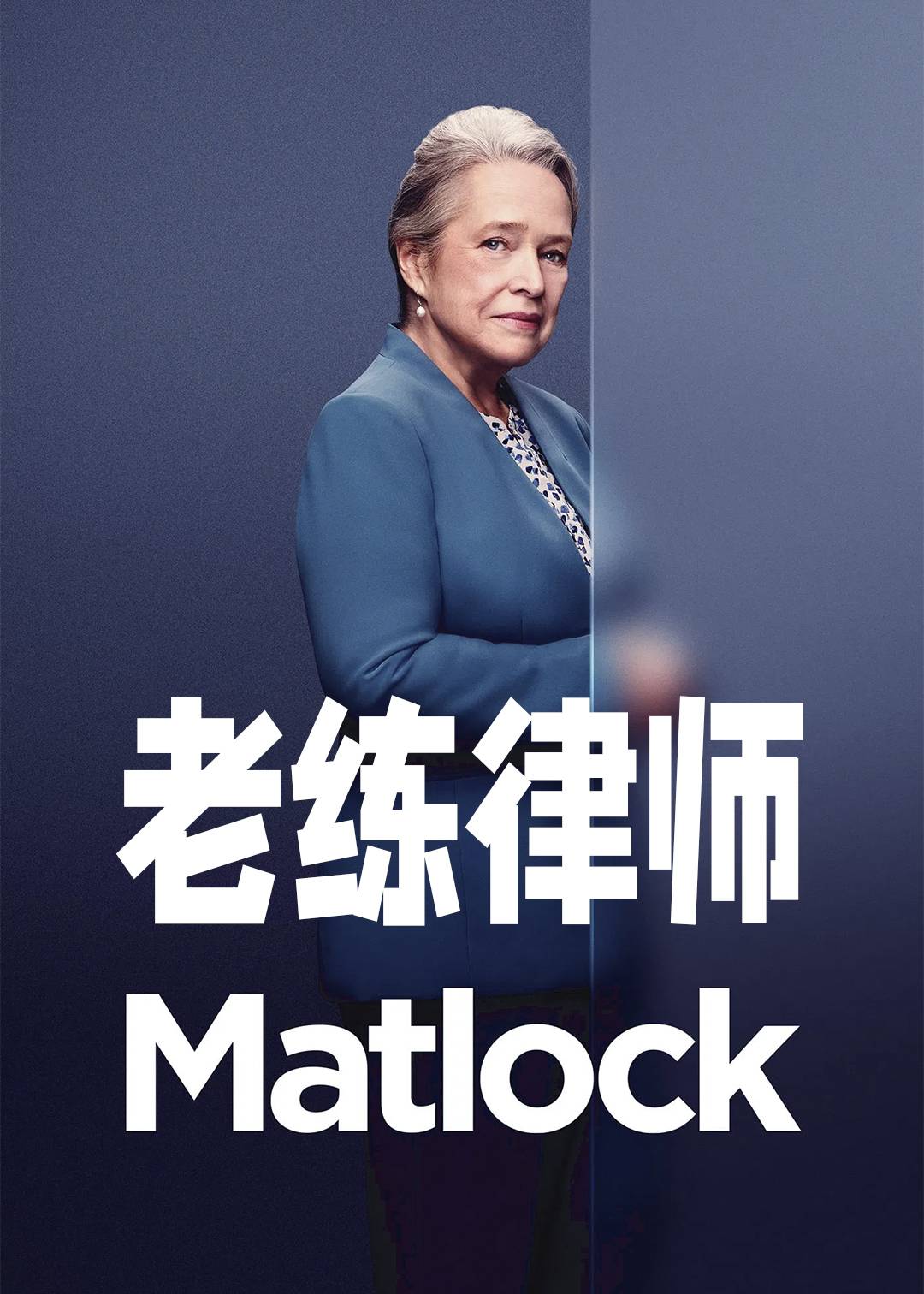 老练律师 第一季