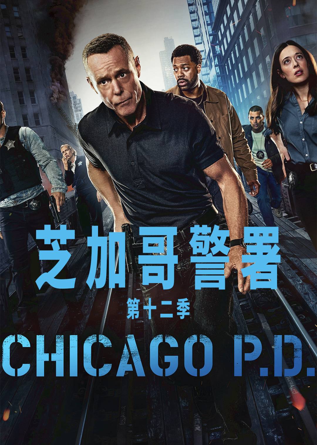 芝加哥警署 第十二季