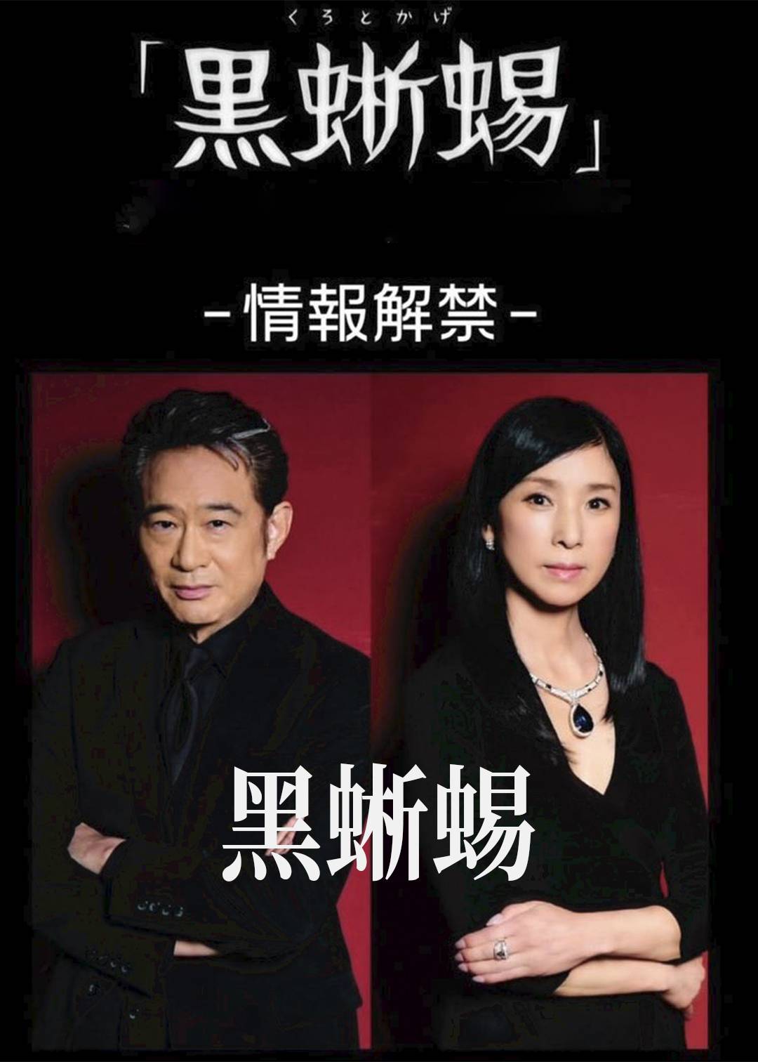 黑蜥蜴