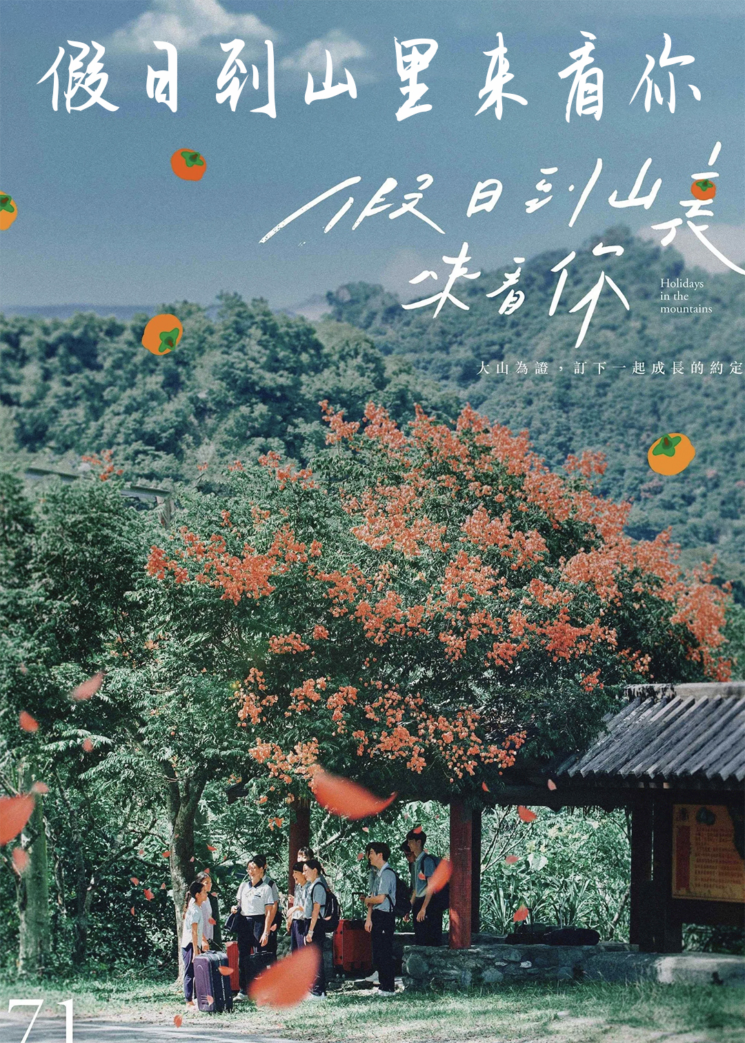 假日到山里来看你