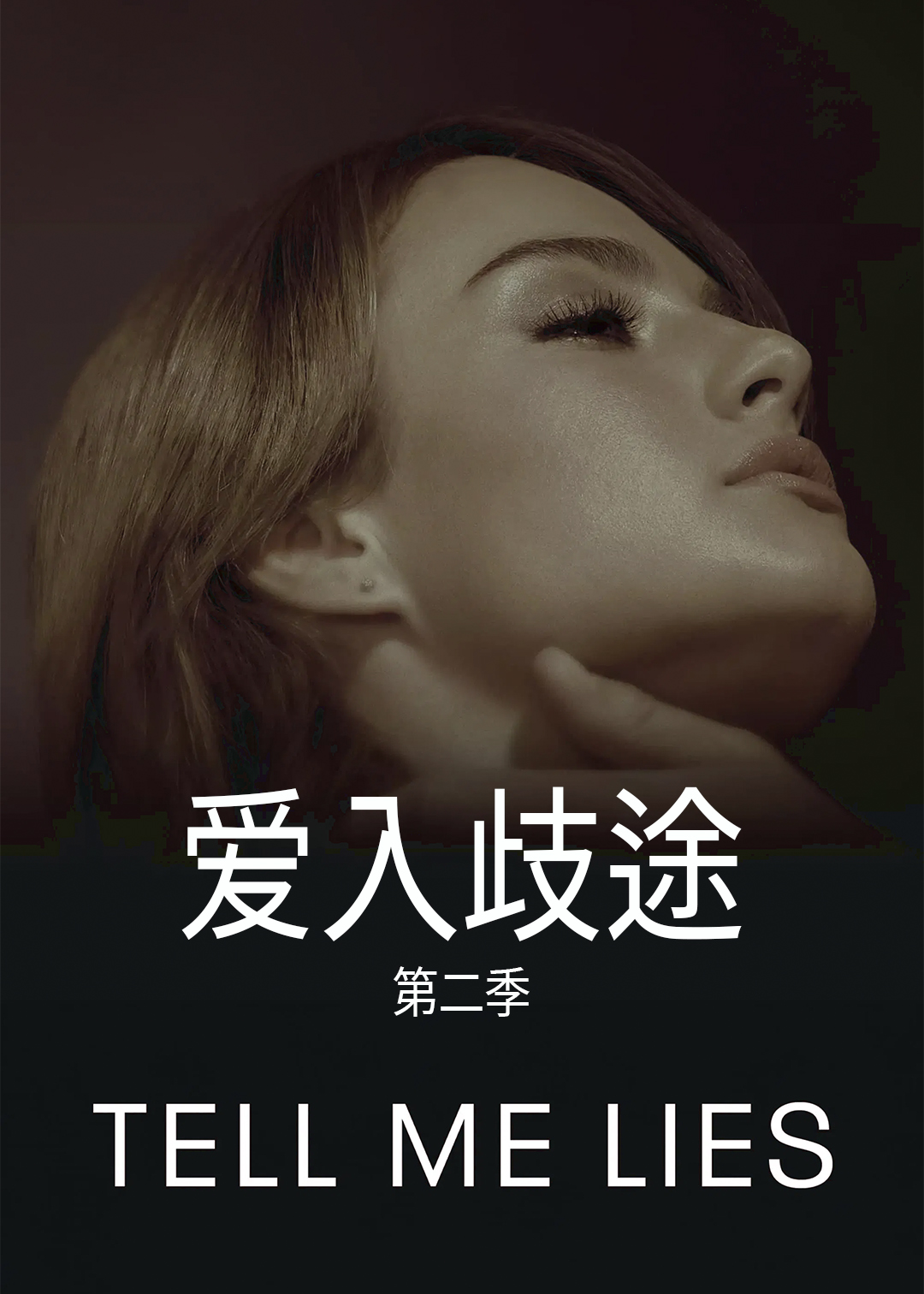爱入歧途 第二季