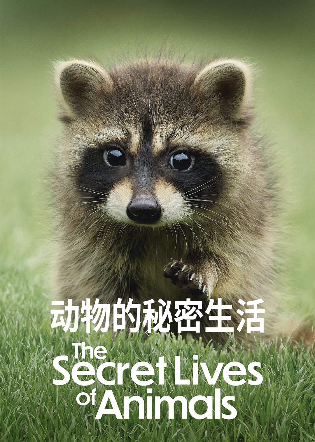 动物的秘密生活