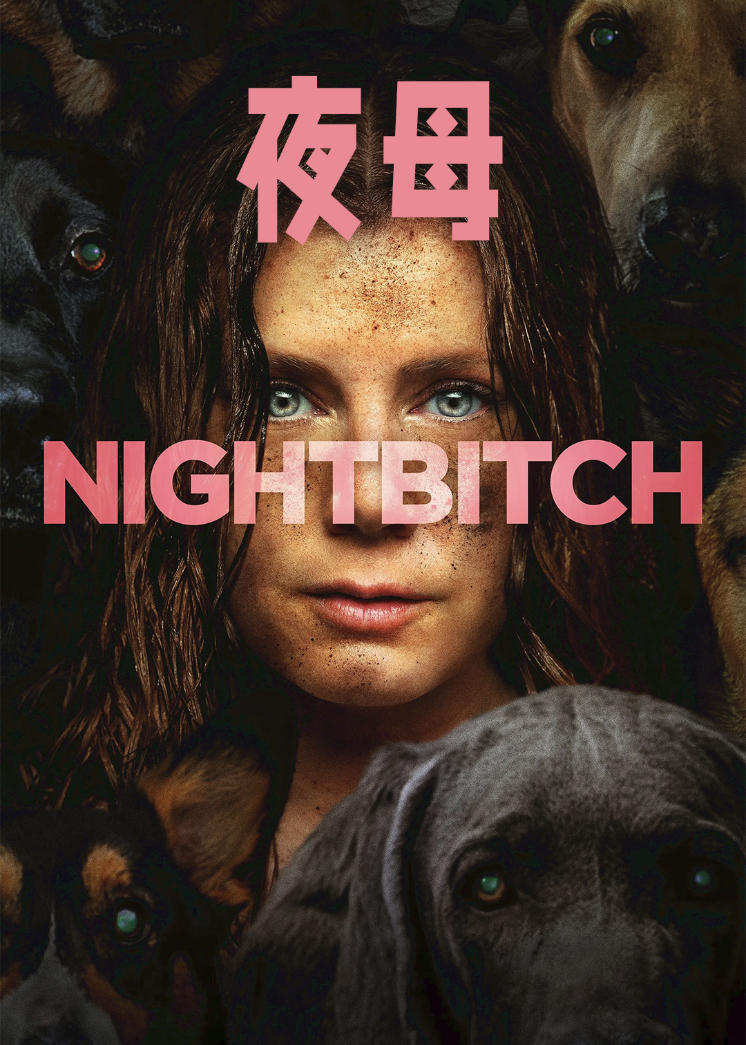 夜母