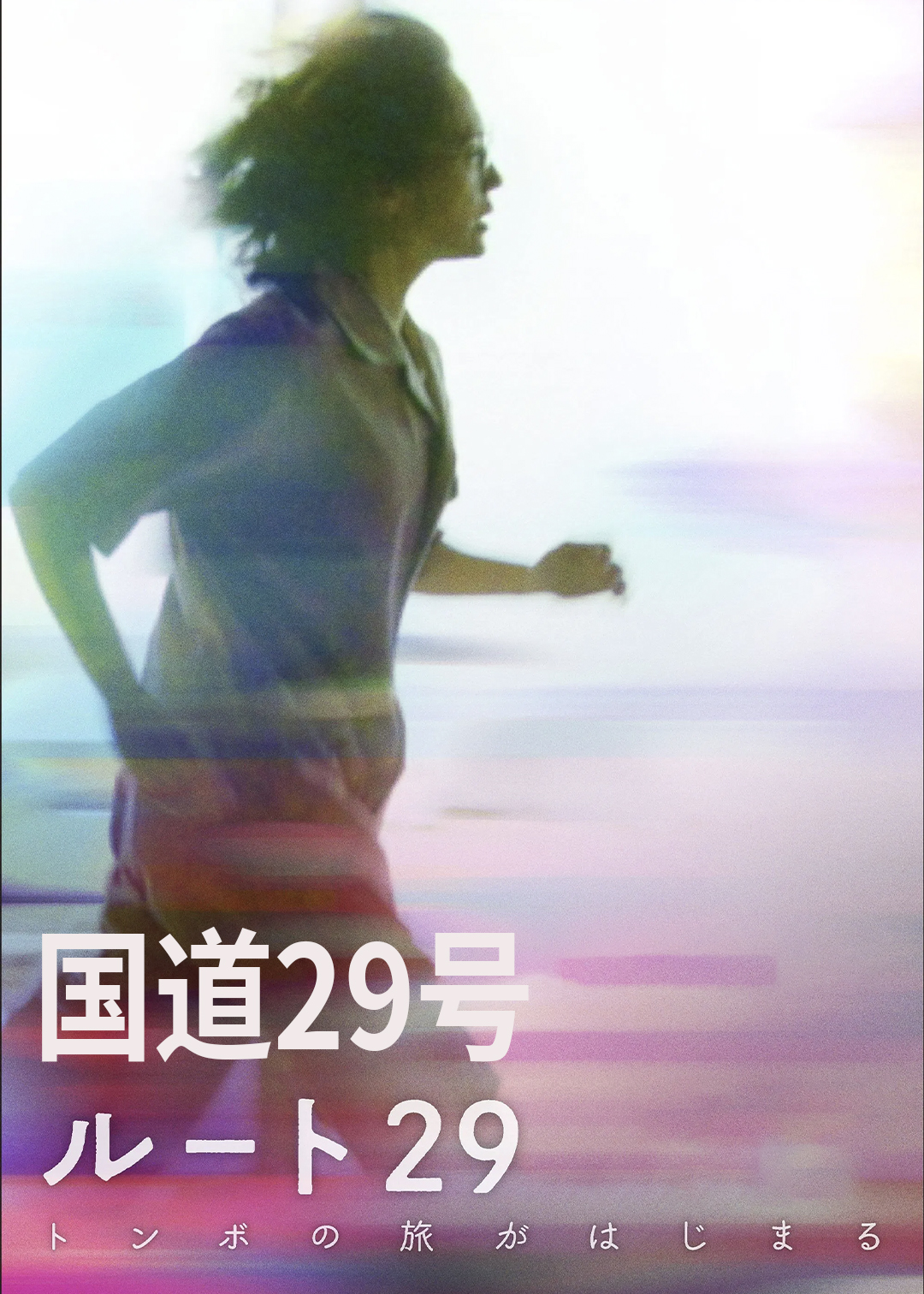 国道29号