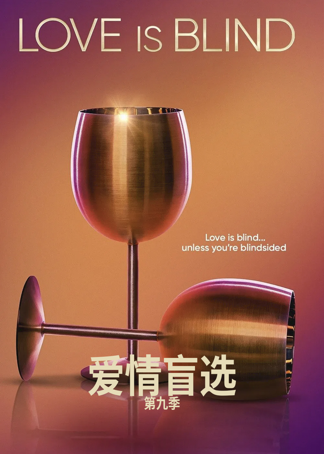 爱情盲选 第九季