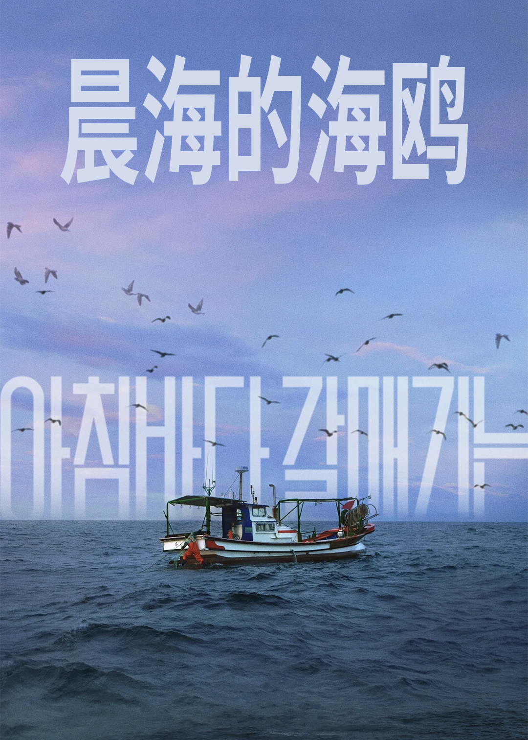 晨海的海鸥