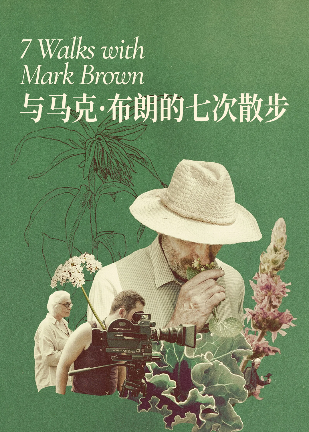 与马克·布朗的七次散步