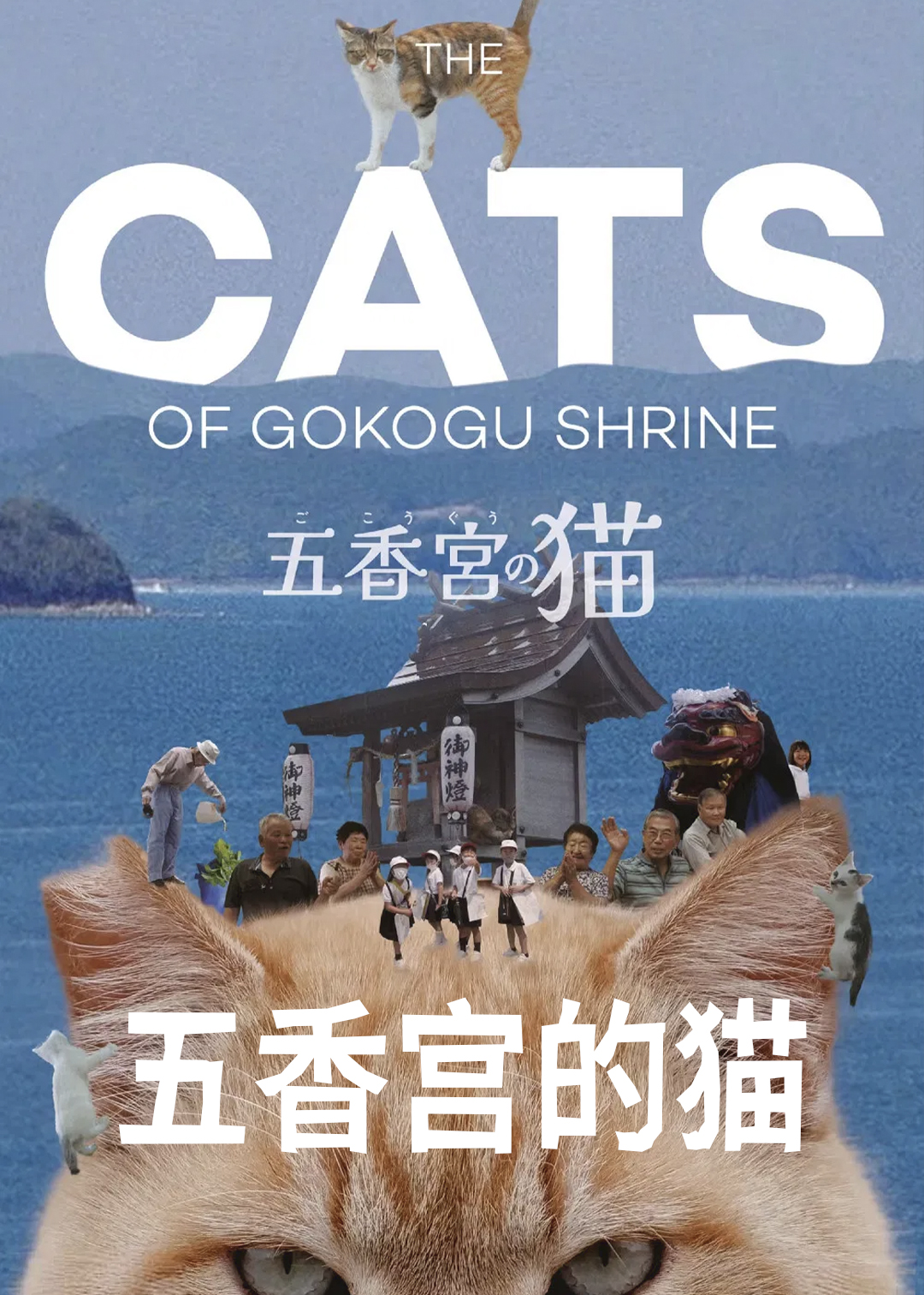 五香宫的猫