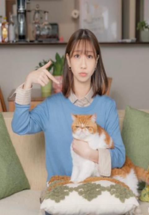 我收留了前男友的猫