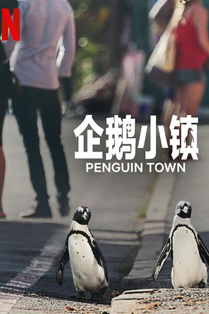 企鹅小镇