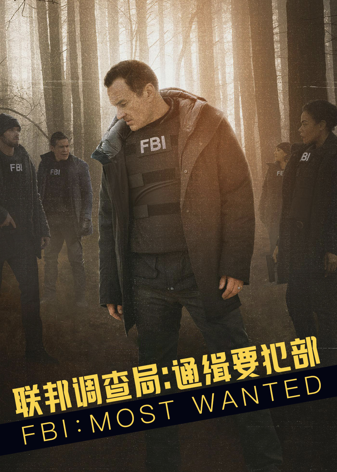联邦调查局：通缉要犯 第二季