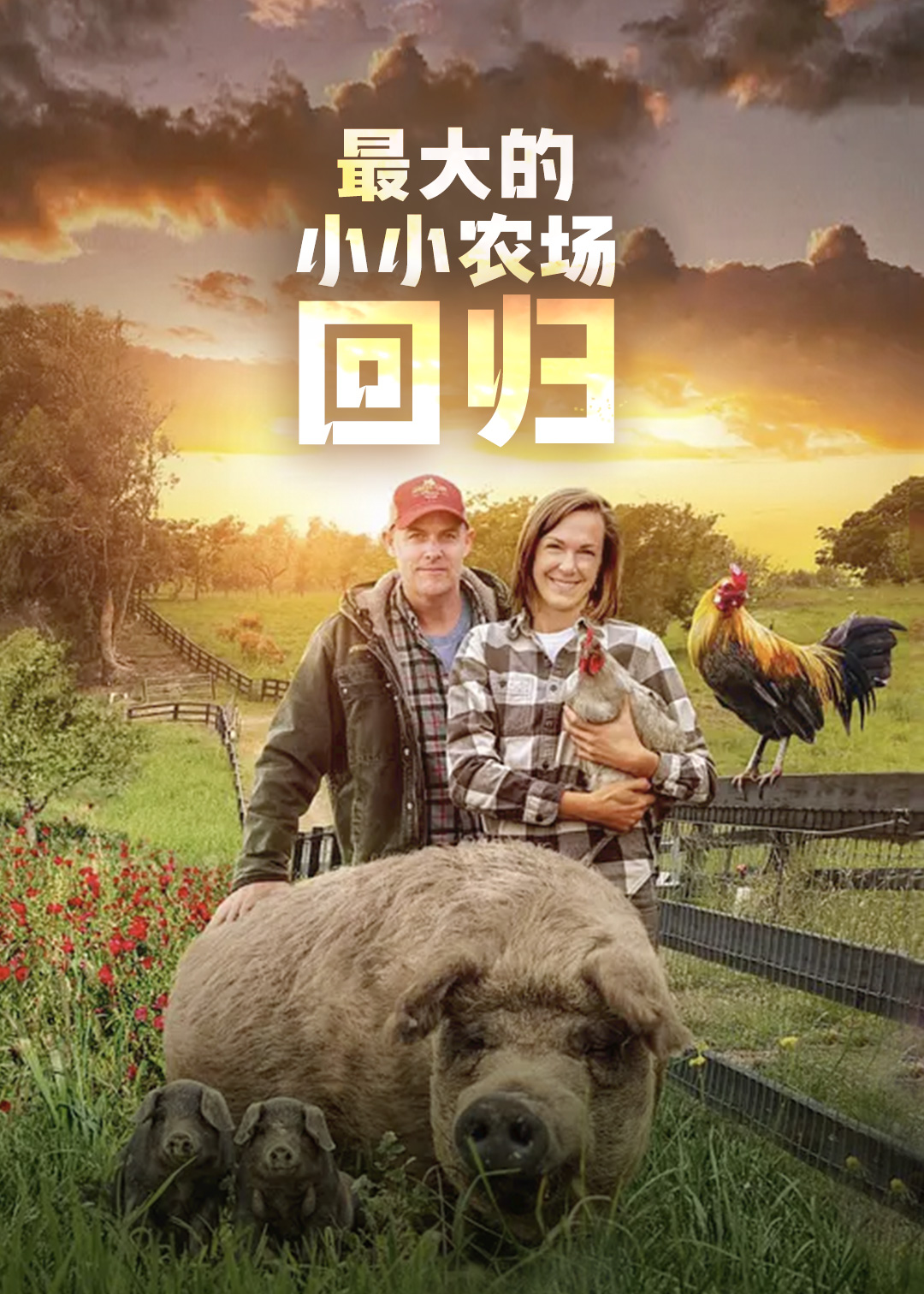 最大的小小农场：回归