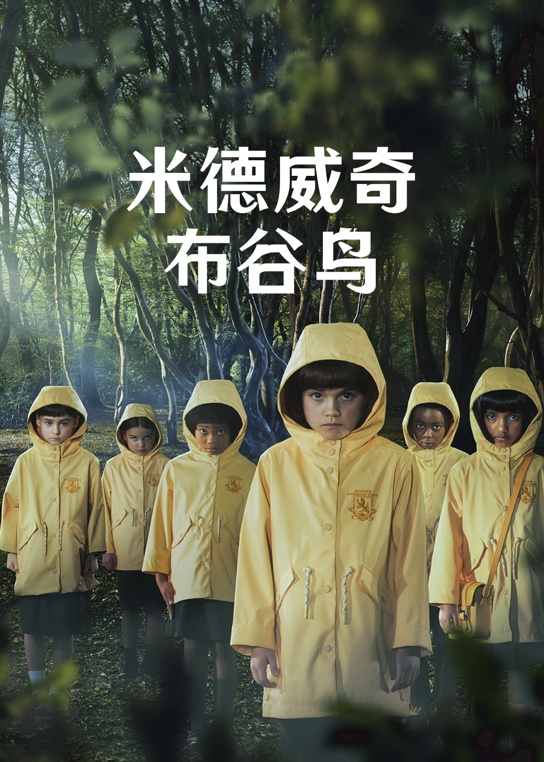 米德威奇布谷鸟