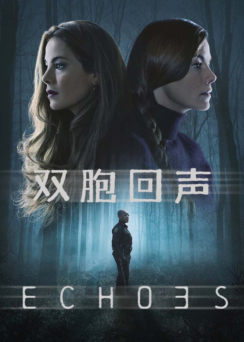 双胞回声