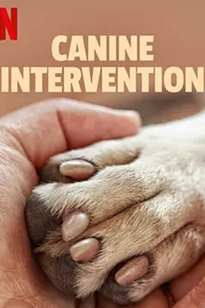犬类干预