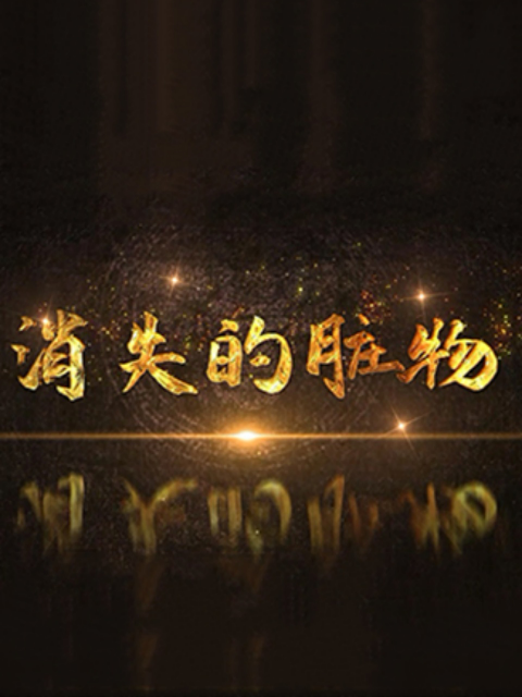 消失的脏物